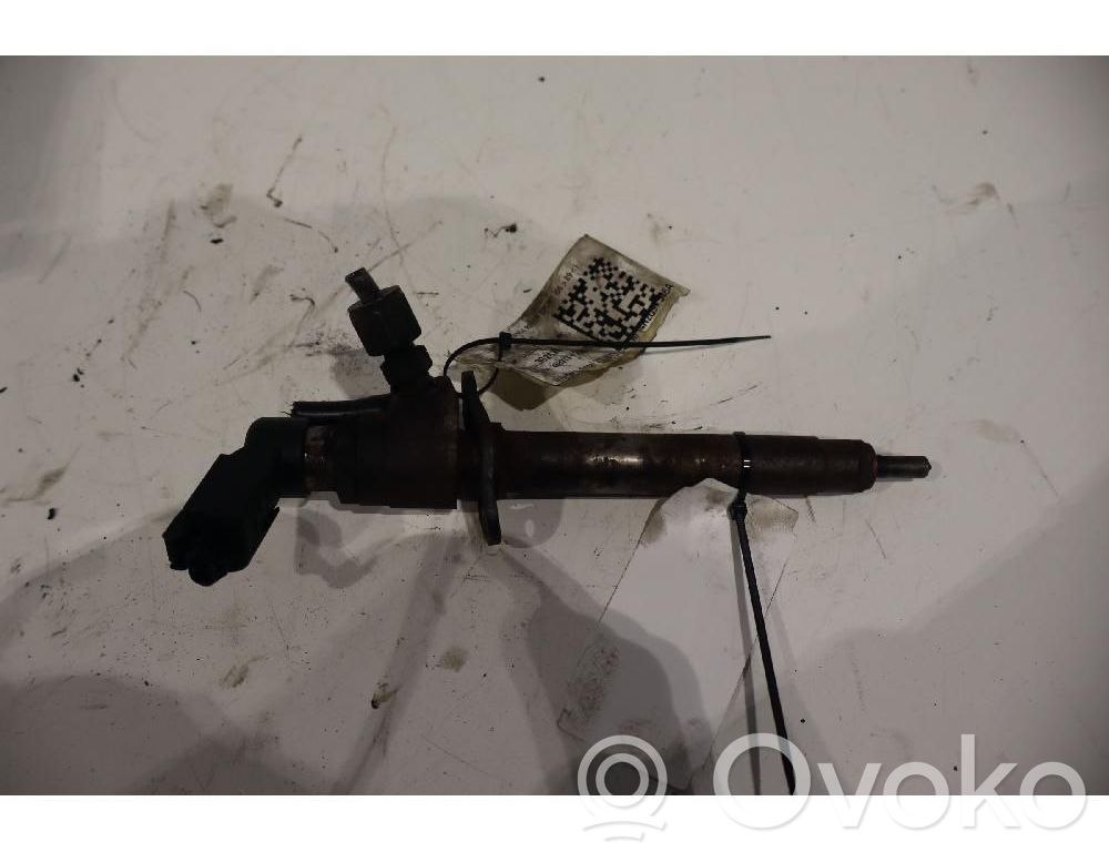 Land Rover Range Rover Sport L320 Injector combustibil 
