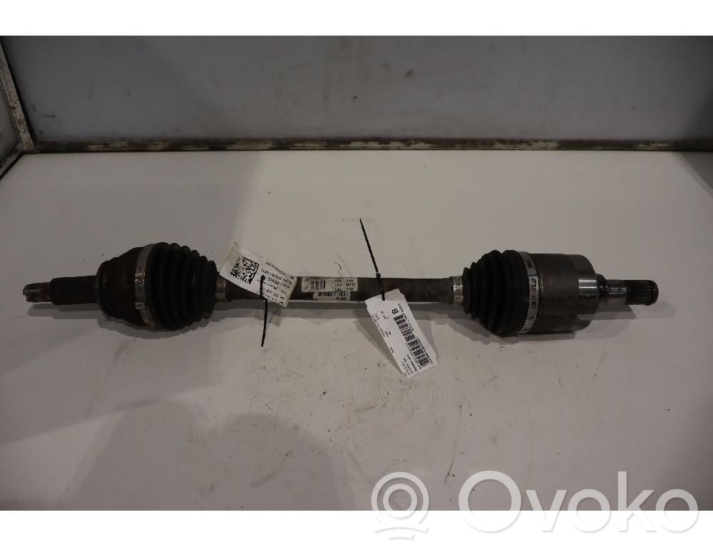 Semiasse anteriore   20191113