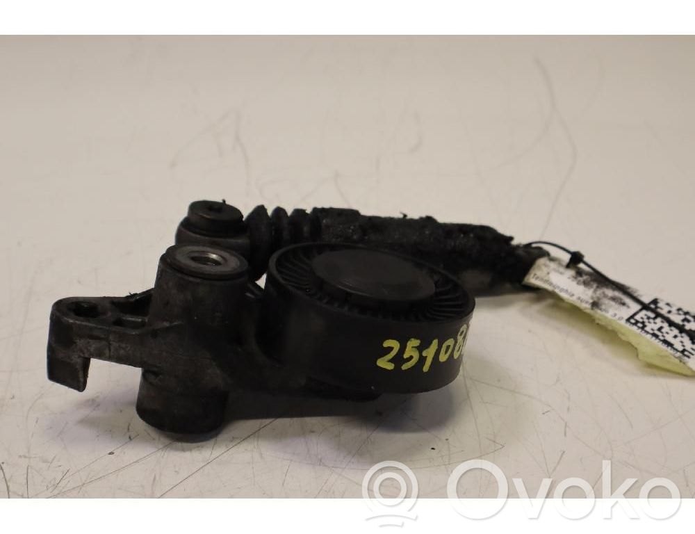 Tendicinghia generatore/alternatore