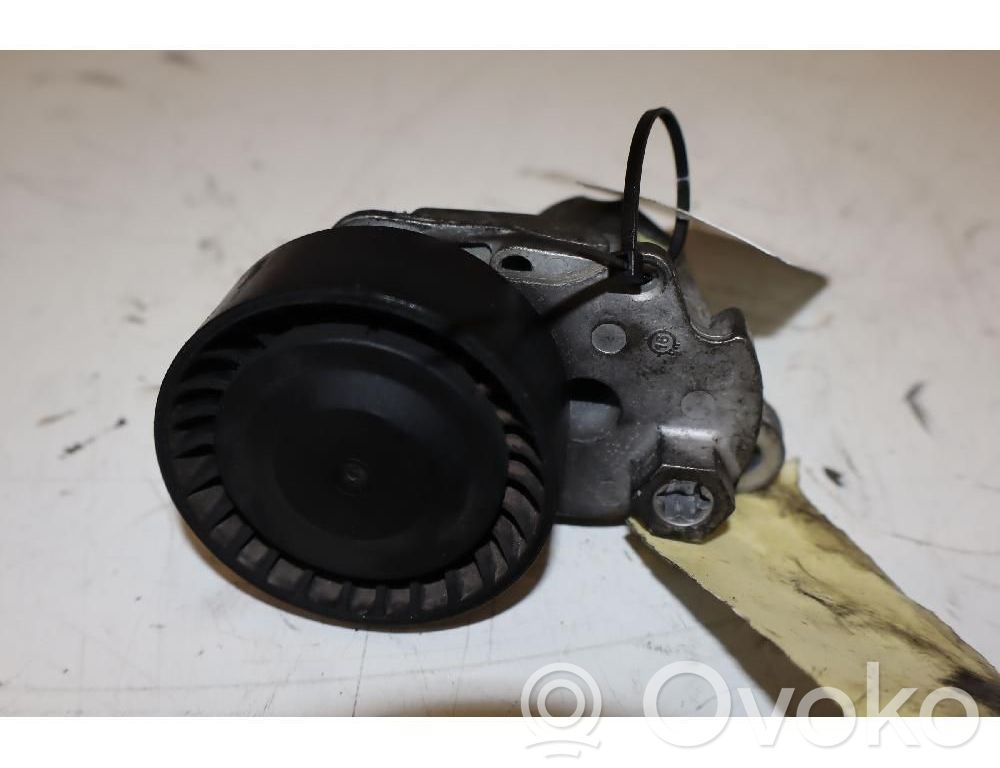 Seat Ibiza IV (6J,6P) Tendicinghia generatore/alternatore