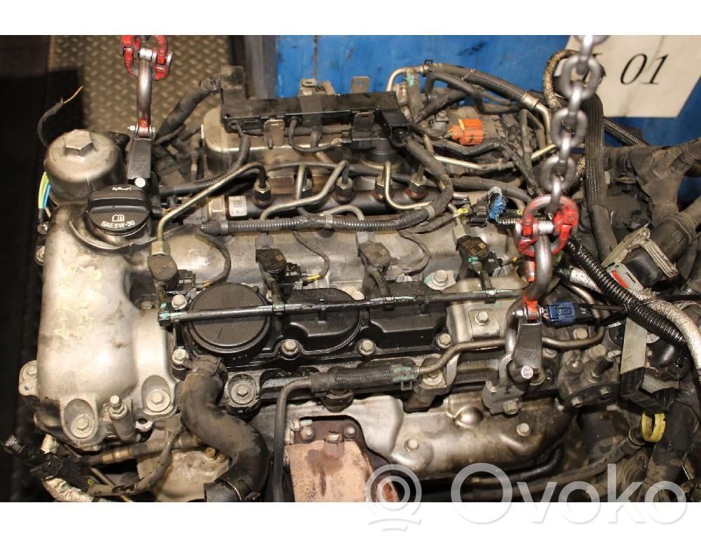 Motor   Z22D1