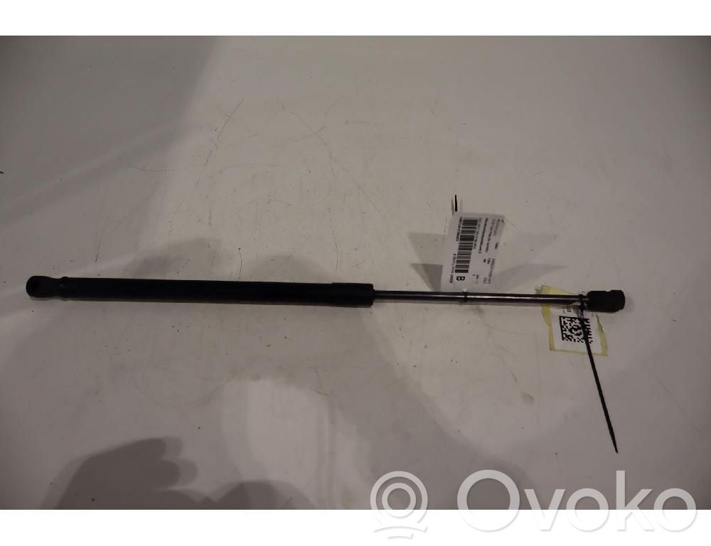 Amortizor hayon   81780H8010