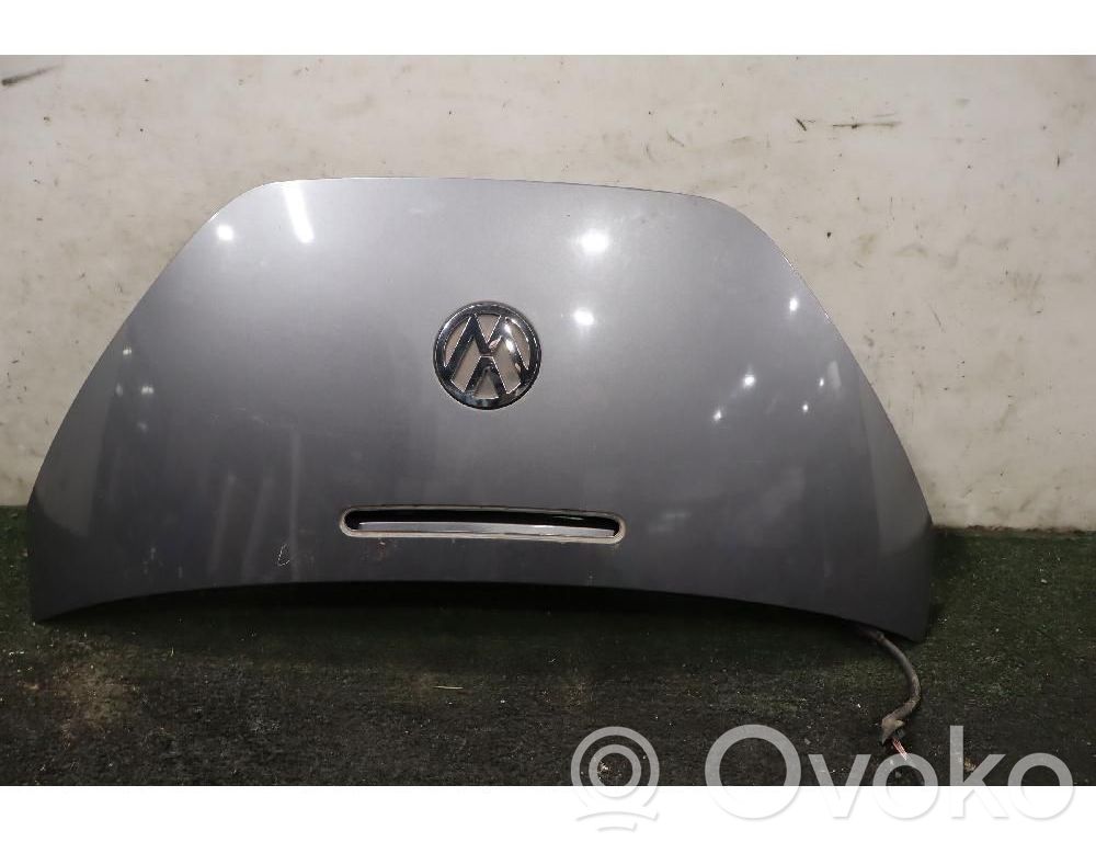 Volkswagen New Beetle Puerta del maletero/compartimento de carga