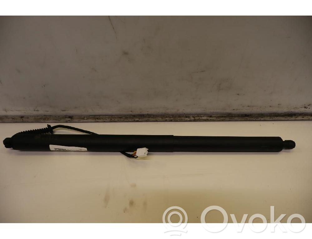 Tesla Model Y Tailgate/trunk strut/damper 