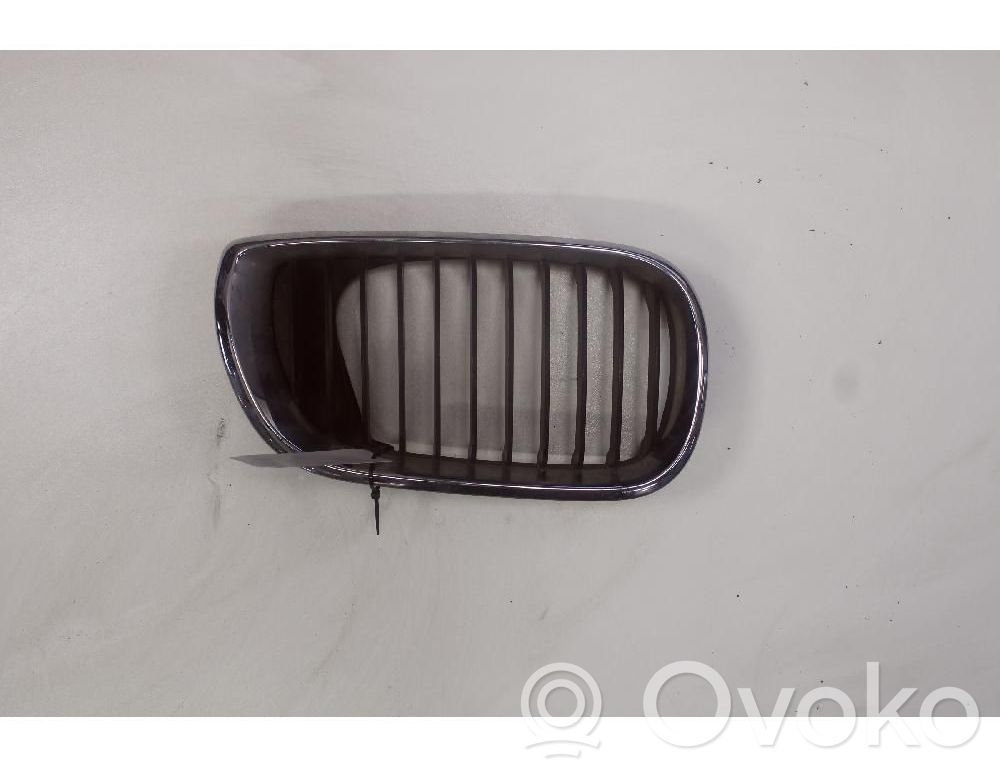 BMW 3 E46 Oberes Gitter vorne