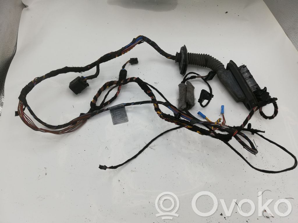 BMW X5 E70 Cablaggio porta anteriore 
