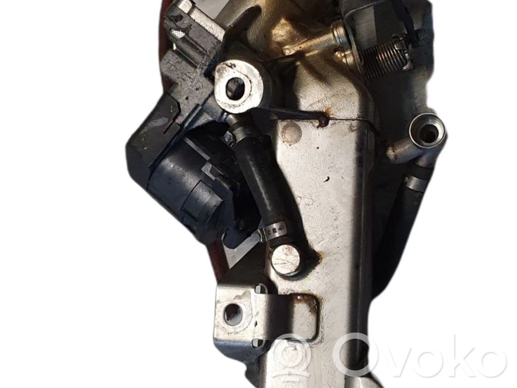 BMW 5 F10 F11 EGR aušintuvas 