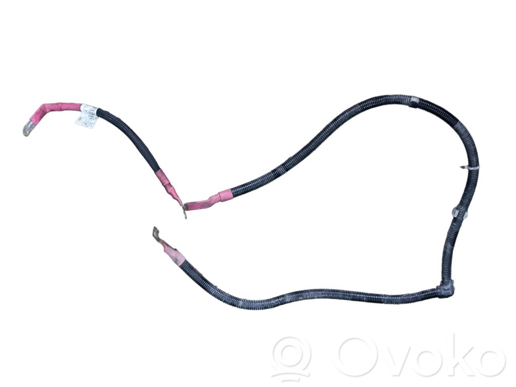 Positive cable (battery)   7807802,61214214