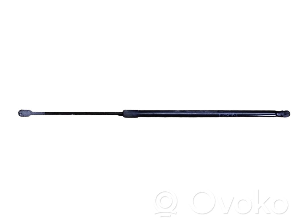 BMW X3 F25 Tailgate strut 
