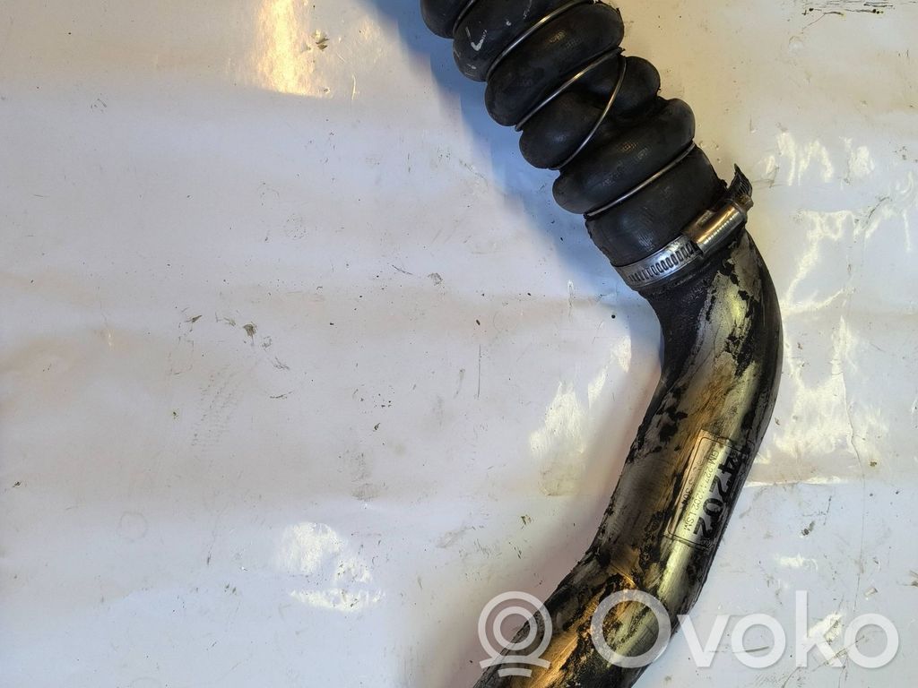 Chevrolet Captiva Interkūlera šļūtene (-es) / caurule (-es) 