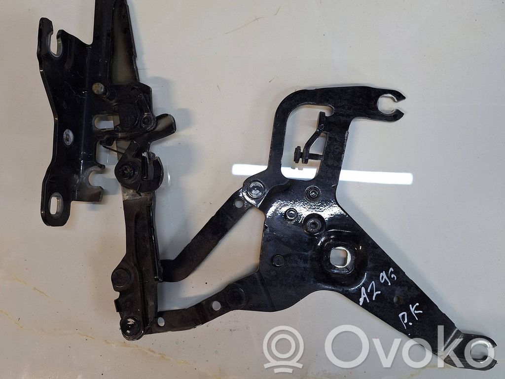 BMW X5 F15 Engine bonnet/hood hinges 
