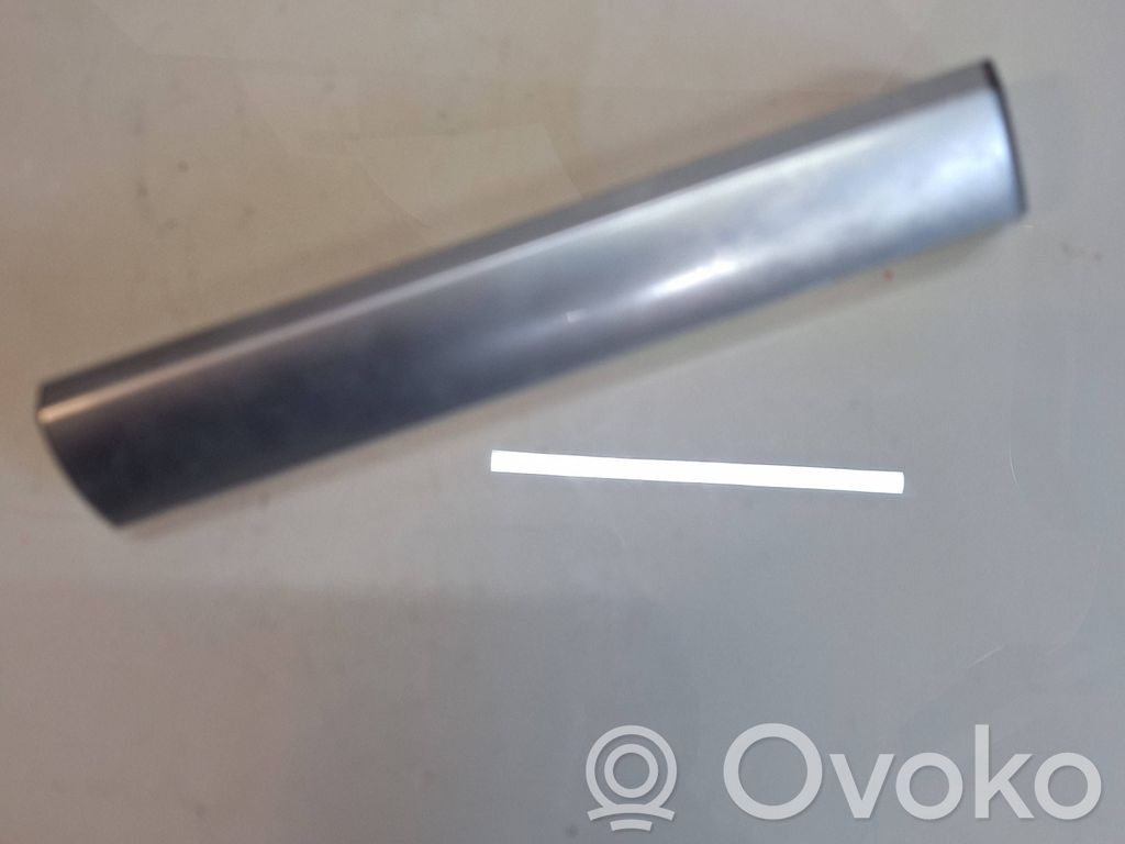 BMW X6 E71 Panel trim 