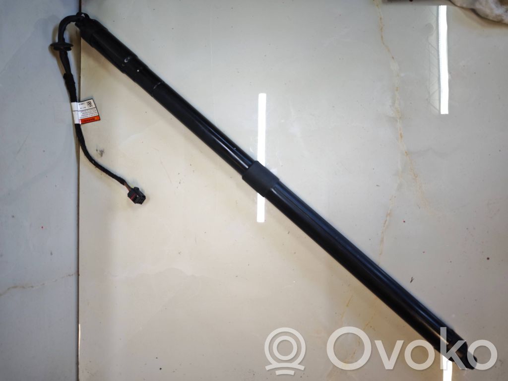 Land Rover Range Rover Sport L494 Ammortizzatore portellone posteriore/bagagliaio 