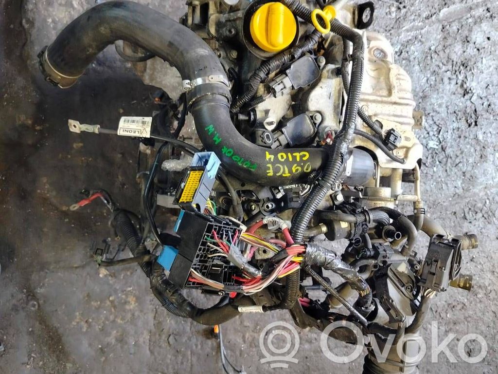 Renault Clio IV Variklis 