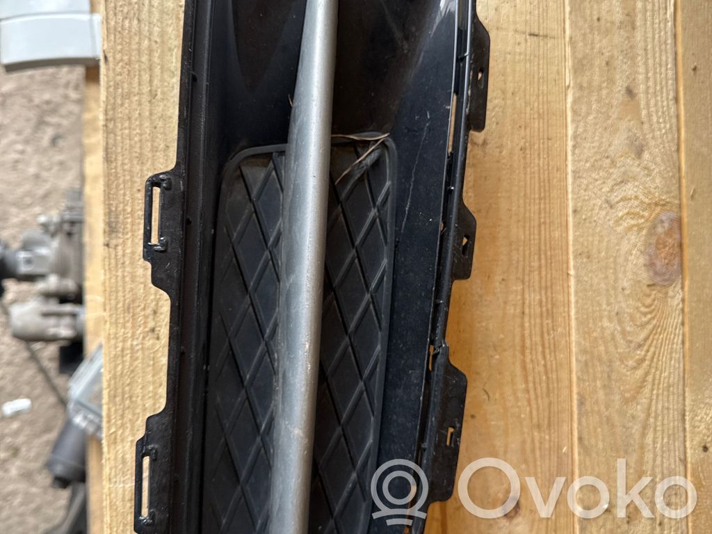 BMW X5 E70 Front bumper lower grill 