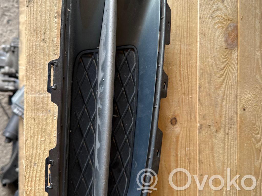 BMW X5 E70 Front bumper lower grill 