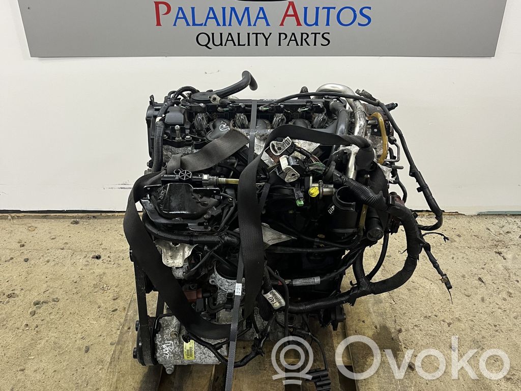 Motor   D4204T,6M5Q6007BB