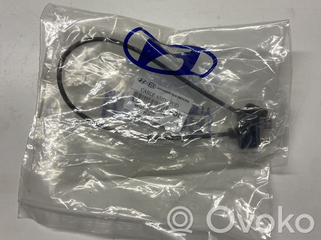 Hyundai Genesis Enchufe para conectar el iPod 