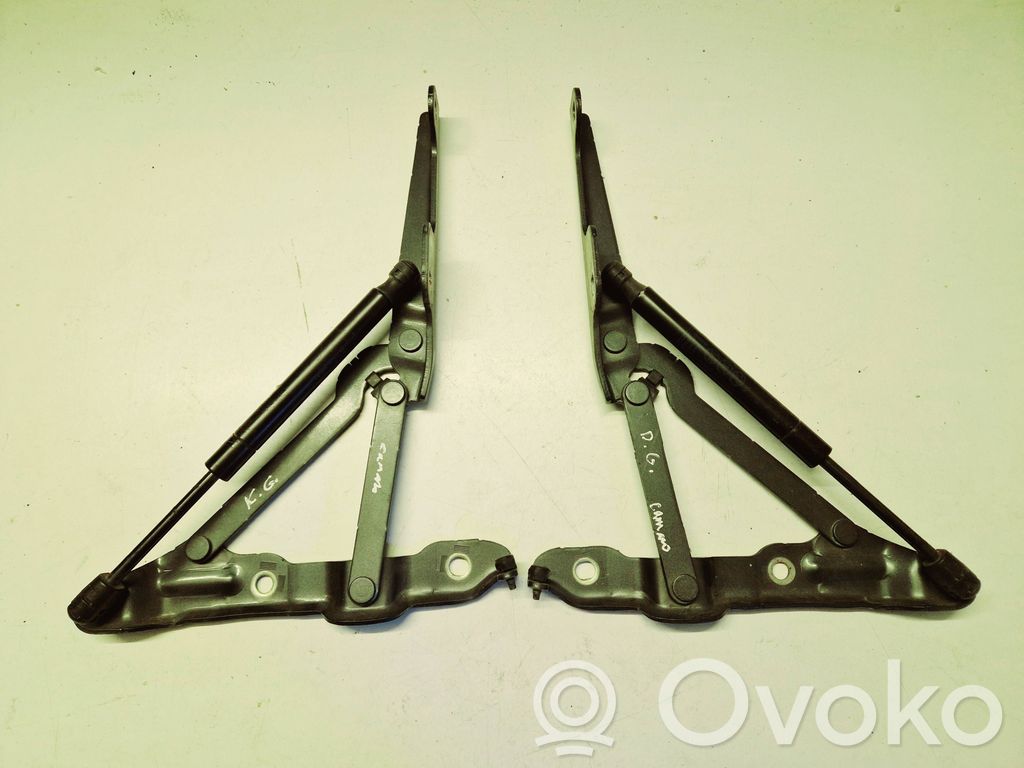 Chevrolet Camaro Tailgate/trunk/boot hinge 