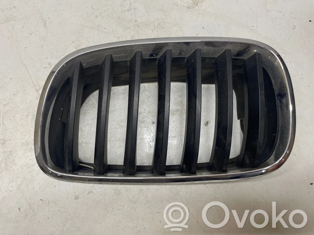 BMW X5 E70 Grotelės viršutinės 