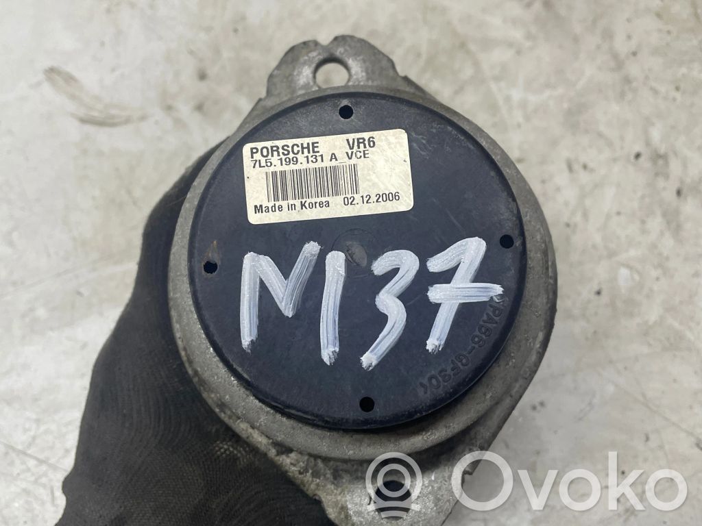 Porsche Cayenne (9PA) Engine mount bracket 