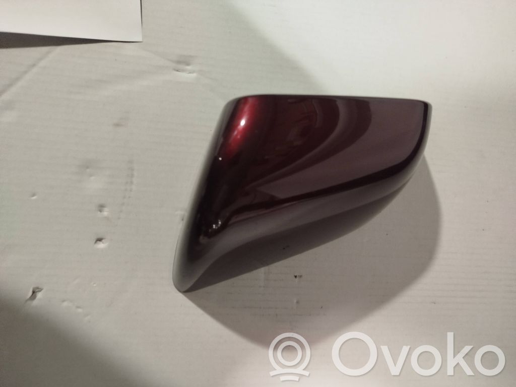 Tesla Model Y Plastic wing mirror trim cover 