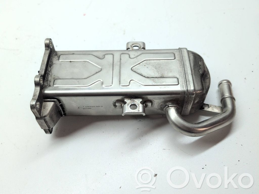Volkswagen Golf VI EGR aušintuvas 