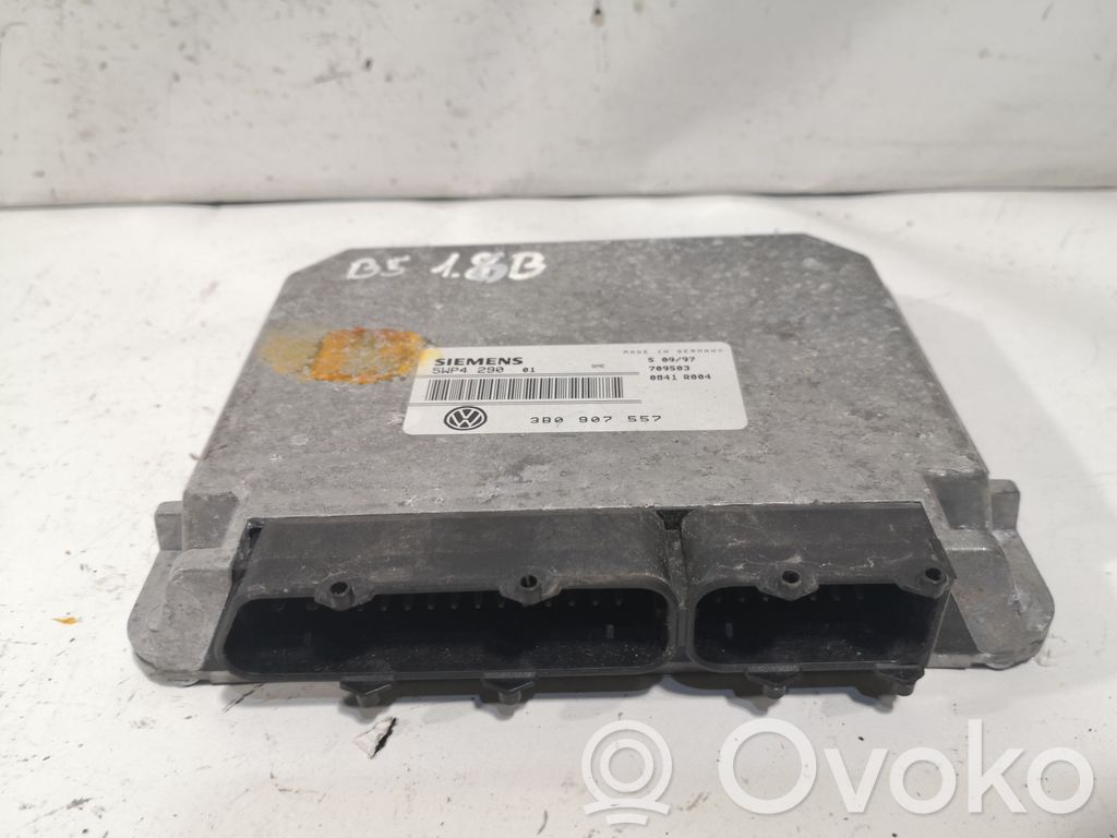 Volkswagen PASSAT B5 Engine control unit/module 