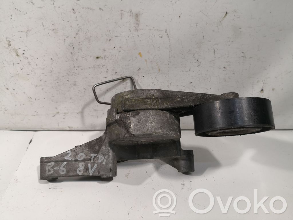 Volkswagen PASSAT B6 Napinacz paska alternatora 