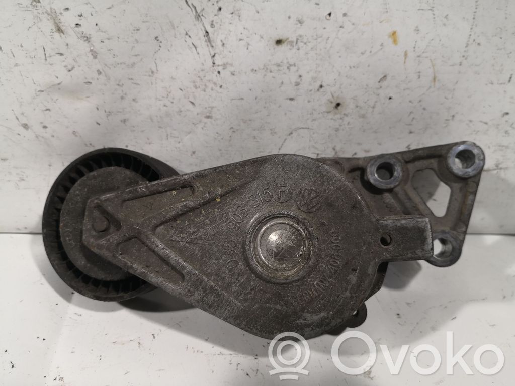Audi A6 S6 C5 4B Diržo įtempėjas 