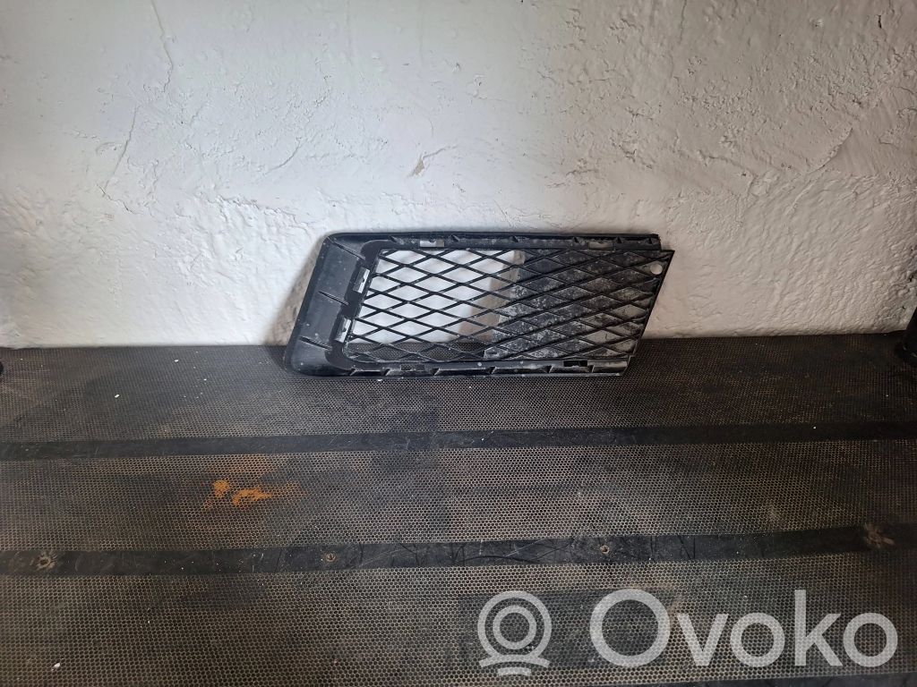 BMW 3 E92 E93 Front bumper lower grill 