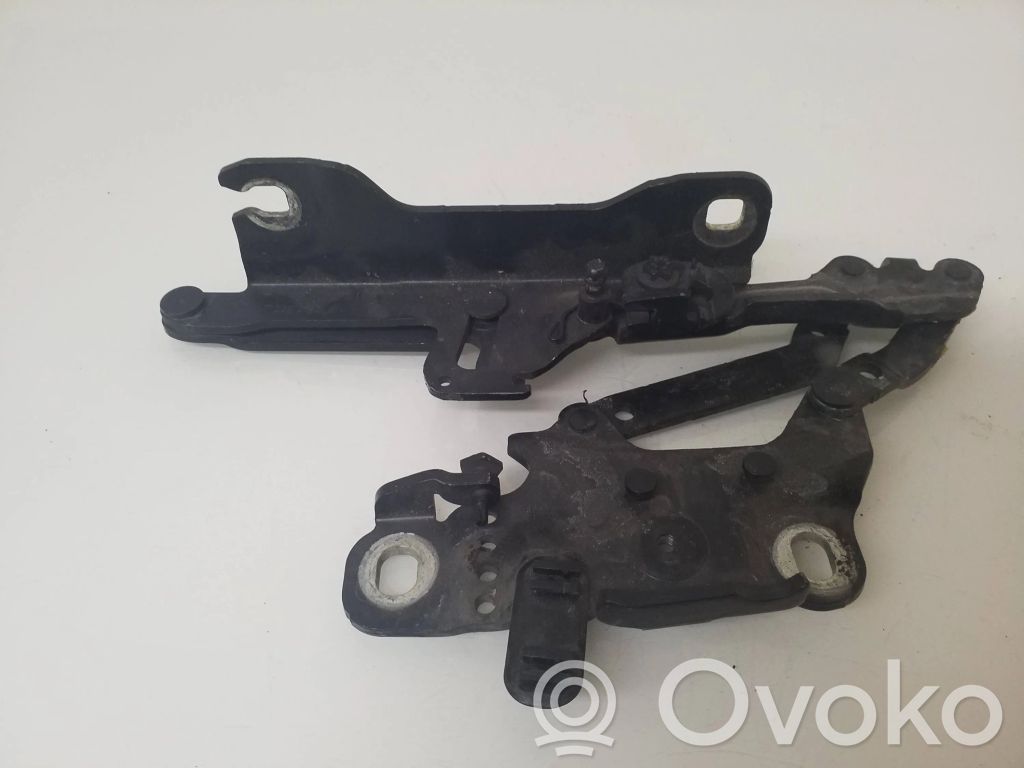 BMW 1 F20 F21 Cerniere del vano motore/cofano 