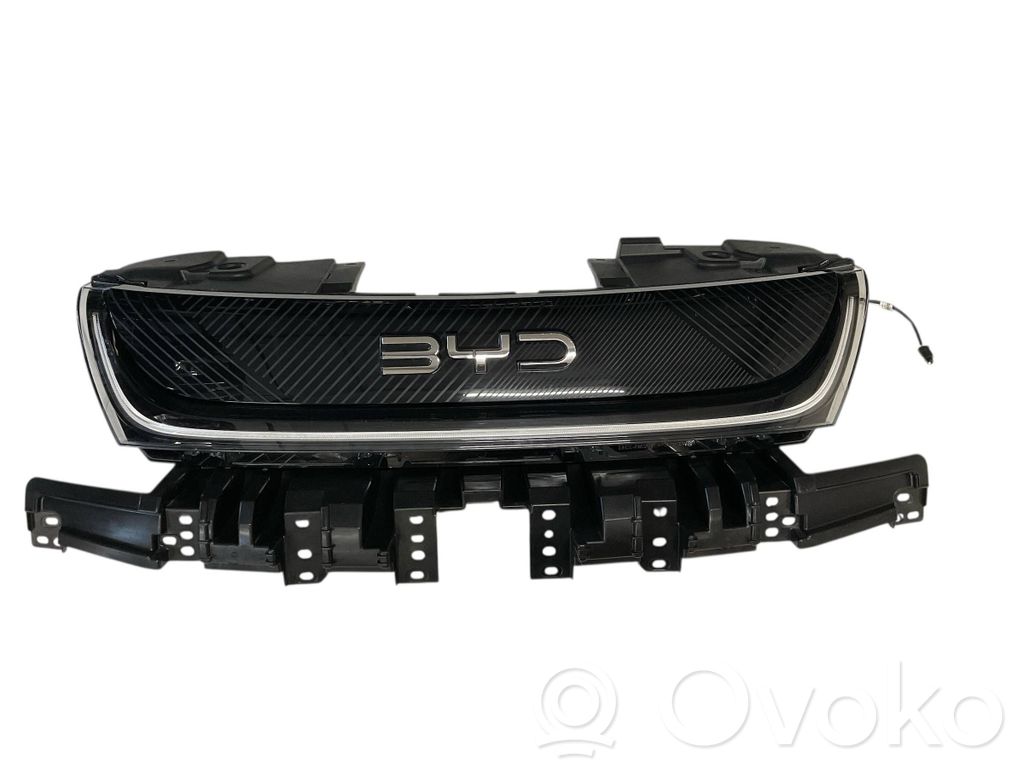 BYD Dolphin Kühlergrill 