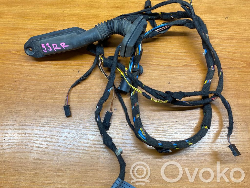 Cableado de puerta trasera   8386011,E3263NF,3007011949,8411805107