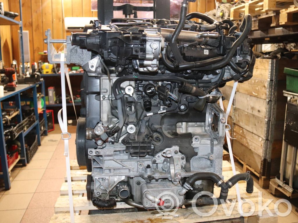 Motor   6906945,4490035,D420T8