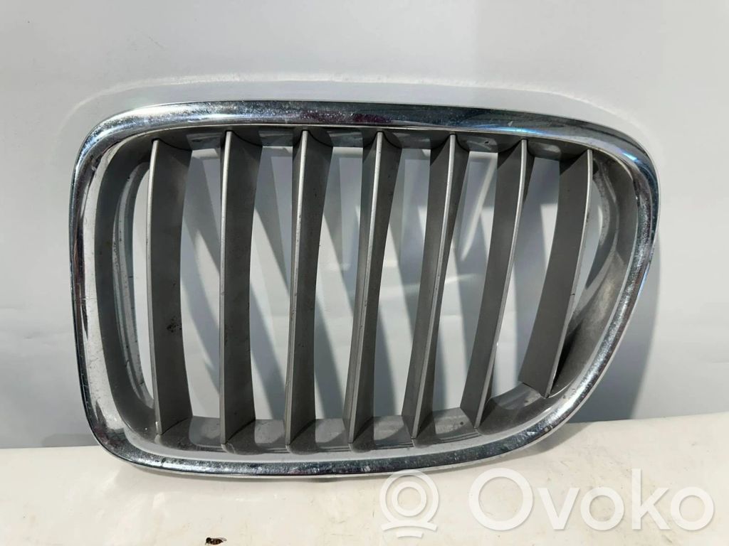 BMW X1 E84 Front grill 