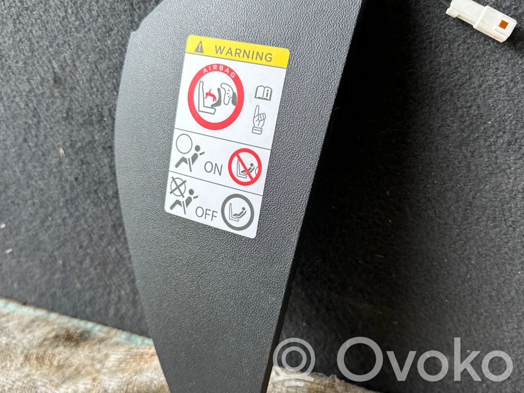 Tesla Model S Šoninė apdaila (galinė) 