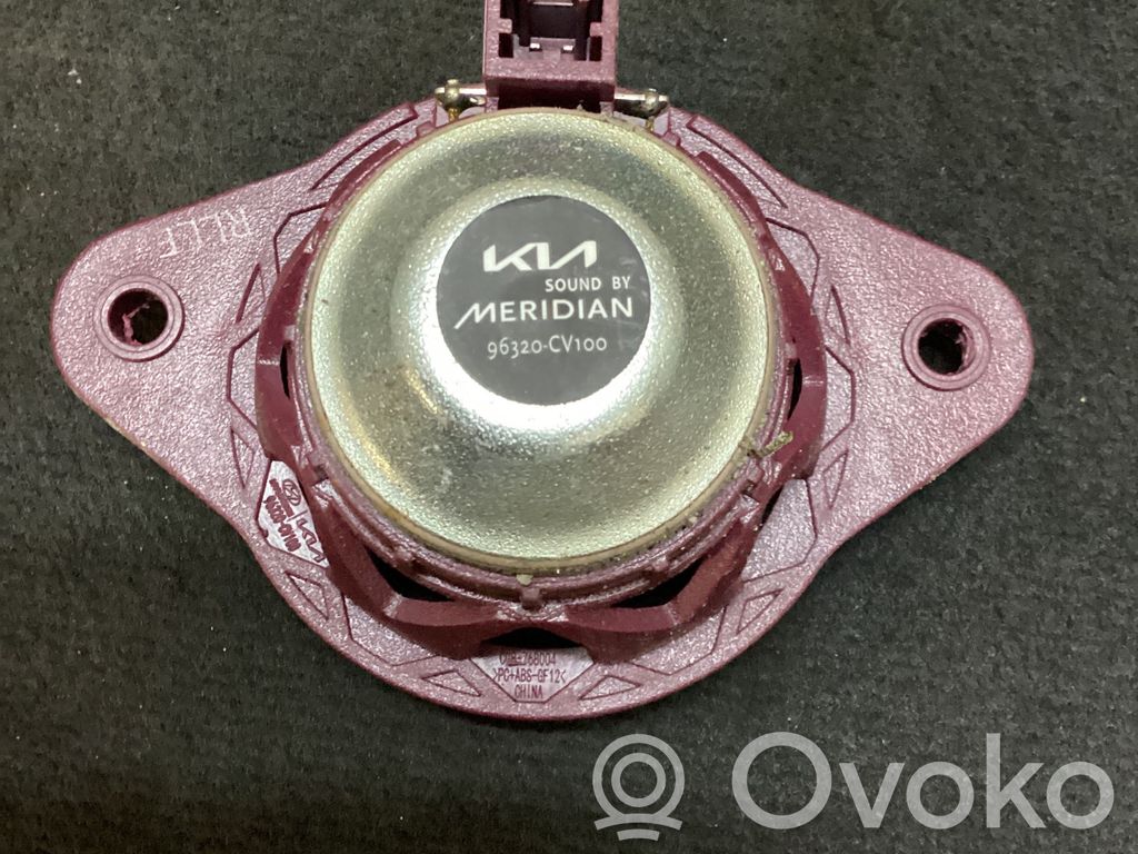 KIA EV6 Panel speaker 
