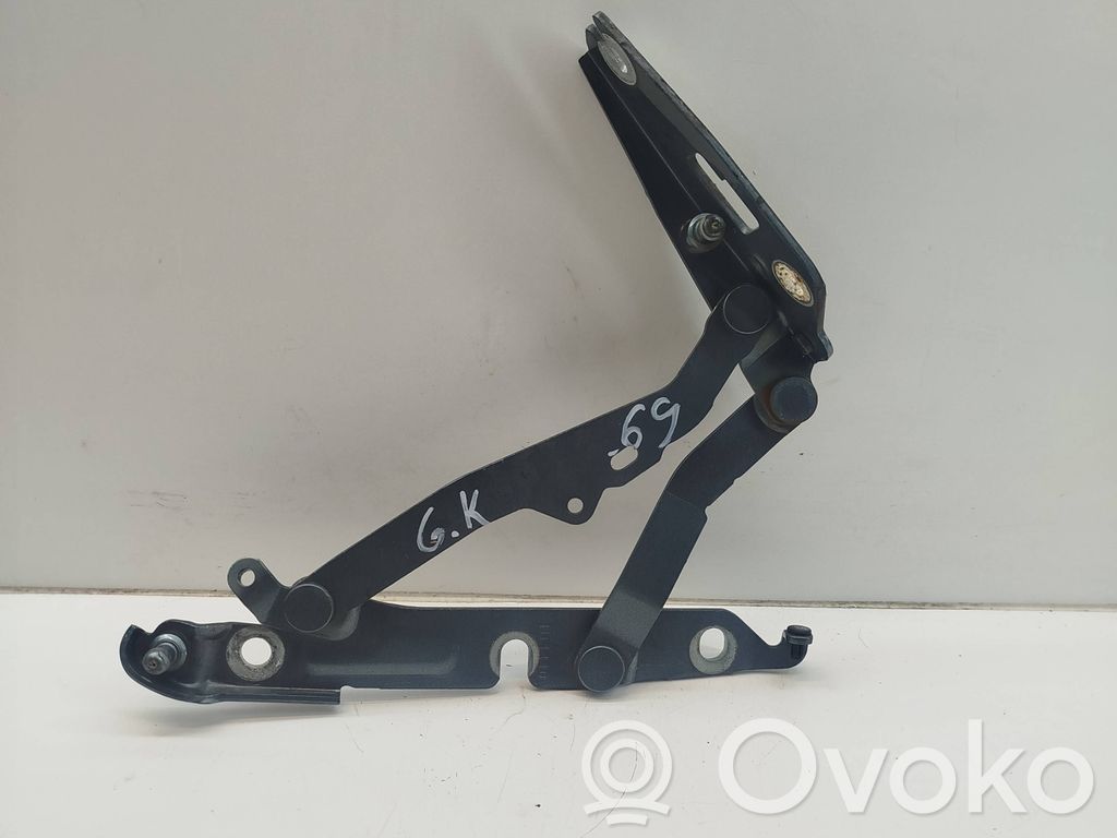 Tailgate/trunk/boot hinge   07S52669