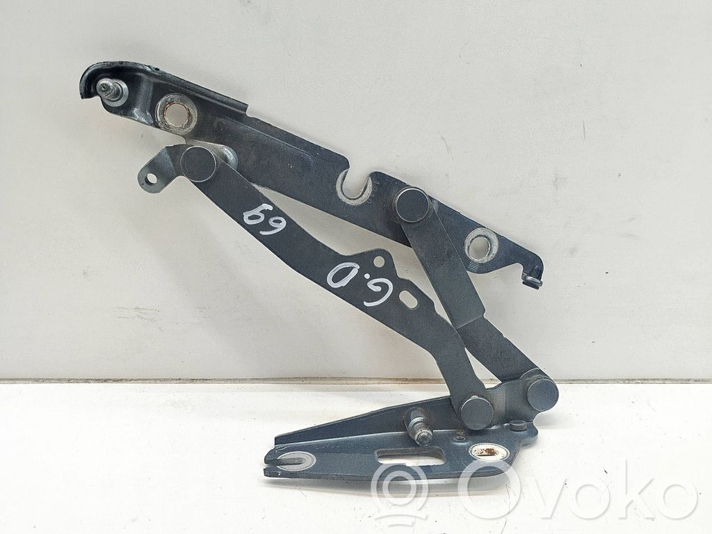 Tailgate/trunk/boot hinge   07S52669