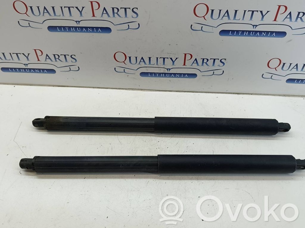 Tailgate/trunk strut/damper   3972VU