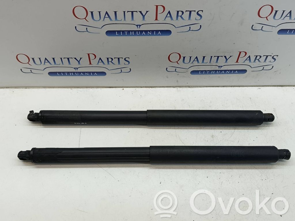 Tailgate/trunk strut/damper   3972VU