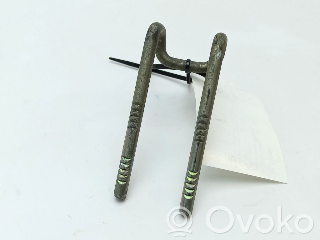 Trunk lock loop