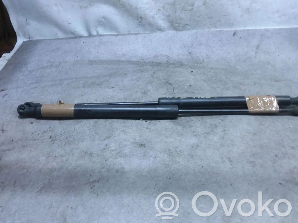 Tailgate/trunk strut/damper