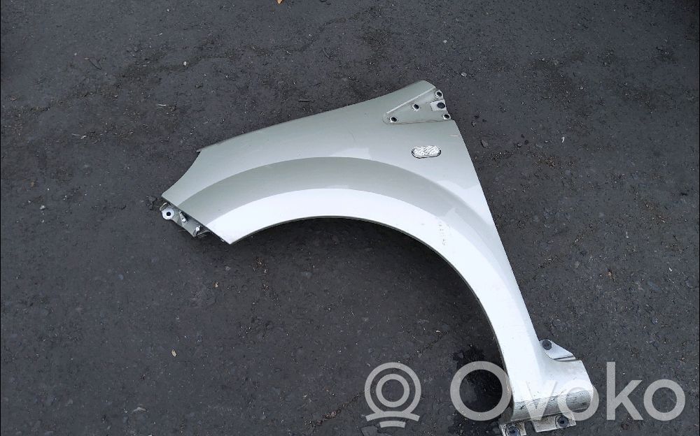 Renault Twingo II Błotnik przedni 