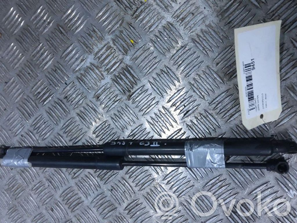 Tailgate/trunk strut/damper