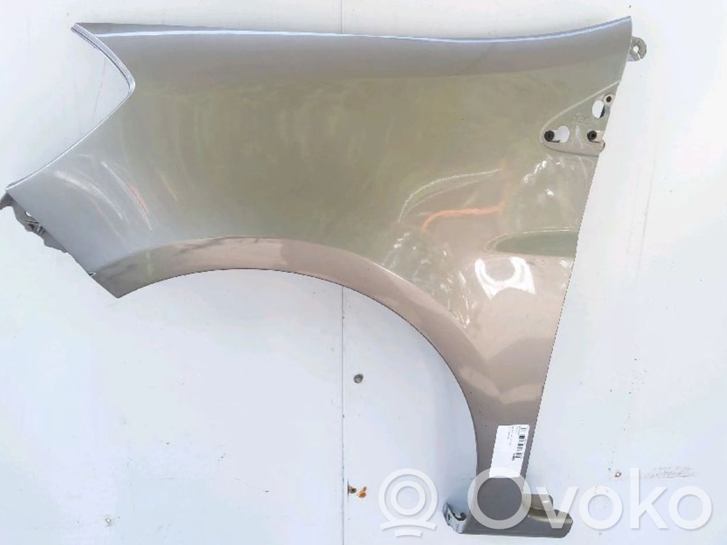 Renault Clio III Sparnas 