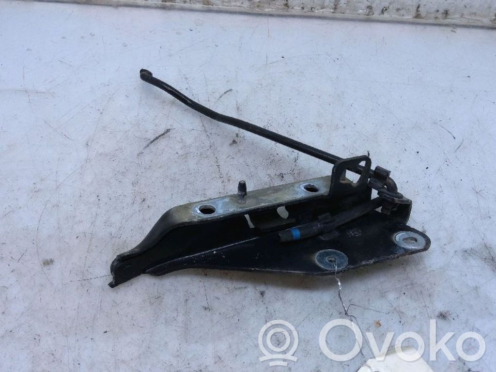 Citroen C3 Pluriel Dzinēja pārsega eņģe (-es) 
