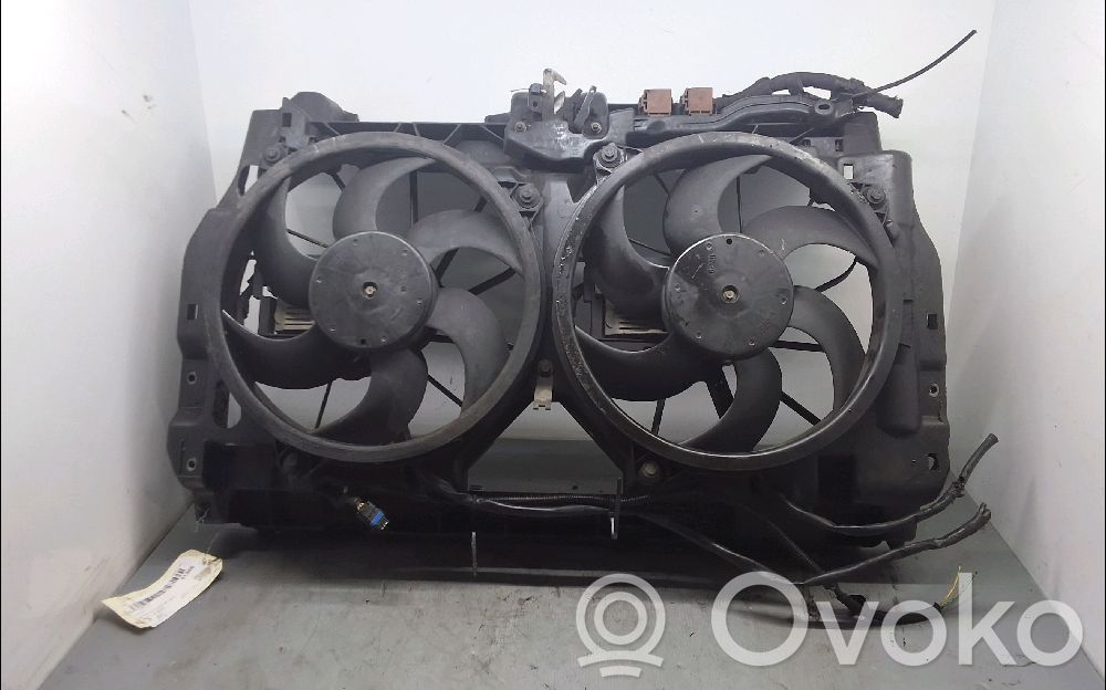 Citroen C5 Radiatoru panelis 