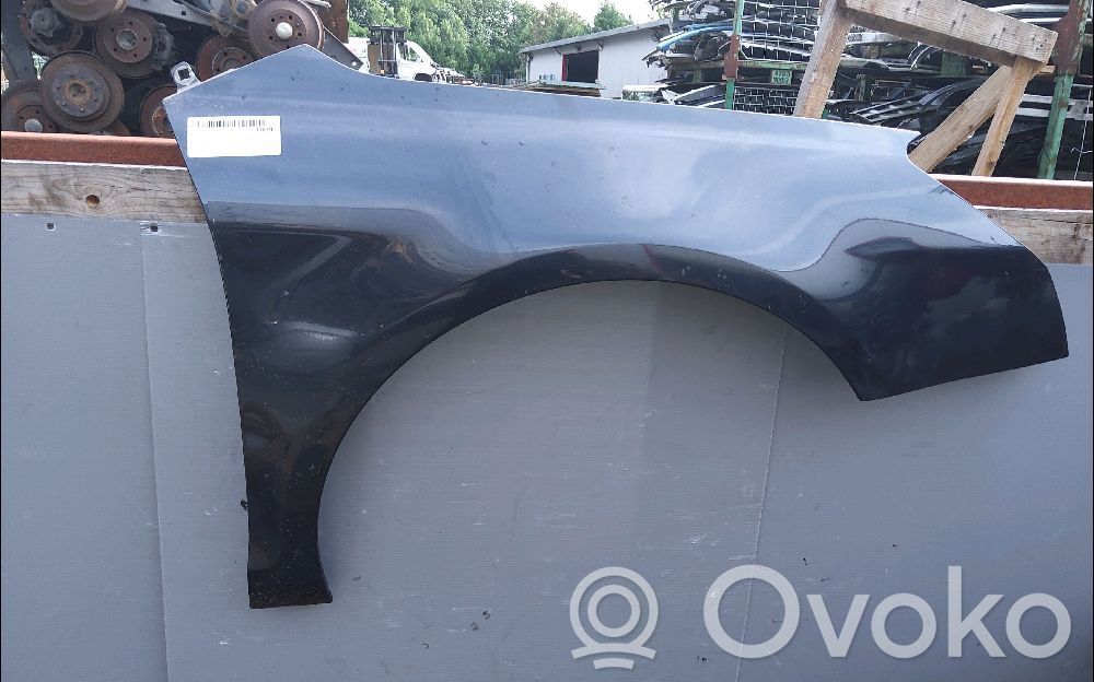 Citroen C5 Guardabarro 